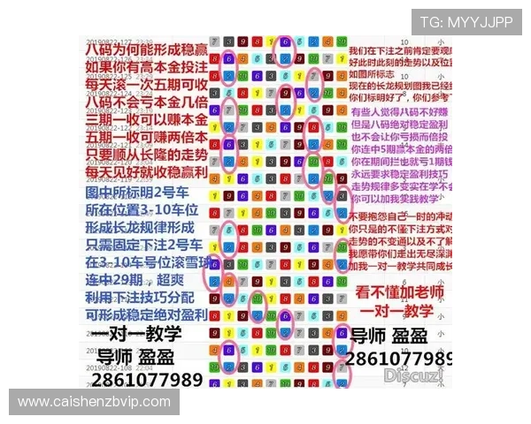 极速飞艇最新数据分析与投注技巧全面解析报告