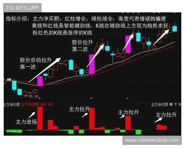 竞速PK10精准计划技巧全解析助你轻松掌握稳定高效盈利方法